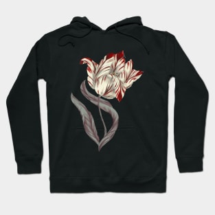 Rembrant Parrot Tulip Hoodie